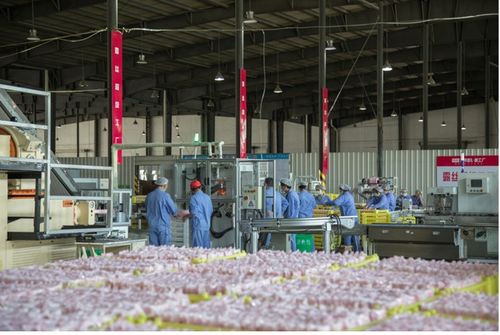 抖音电商助推国货振兴 传统日化工厂如何借商城焕发新生与智慧转型